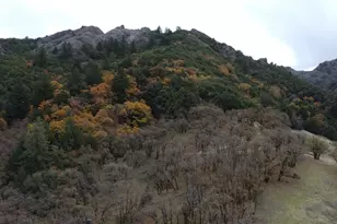 6565 Spyrock Rd, Laytonville, CA 95454 - Photo 39