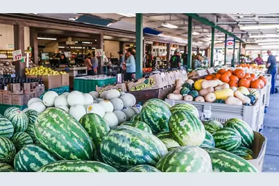 3695 Frei Road, Sebastopol, CA 95472 - Photo 49