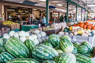 3695 Frei Rd, Sebastopol, CA 95472 - Photo 49