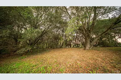 3695 Frei Road, Sebastopol, CA 95472 - Photo 43