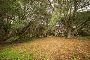 3695 Frei Rd, Sebastopol, CA 95472 - Photo 43