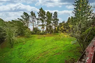 3695 Frei Rd, Sebastopol, CA 95472 - Photo 15