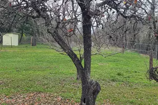 506 White Cottage Rd, Angwin, CA 94508 - Photo 9