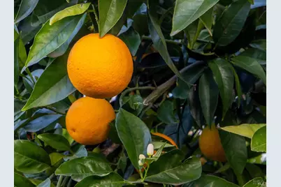 1763 E Street, Napa, CA 94559 - Photo 27