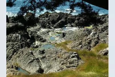 167 Dune Drift Close, The Sea Ranch, CA 95497 - Photo 59