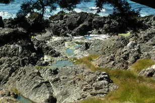 167 Dune Drift Close, The Sea Ranch, CA 95497 - Photo 59