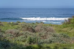 167 Dune Drift Close, The Sea Ranch, CA 95497 - Photo 9