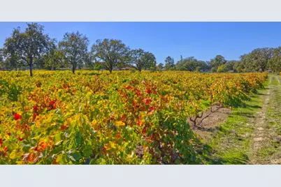 1623 Willowside Road, Santa Rosa, CA 95401 - Photo 39