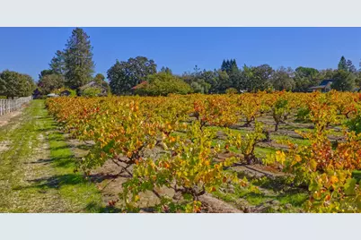 1623 Willowside Road, Santa Rosa, CA 95401 - Photo 41