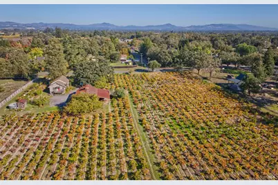 1623 Willowside Road, Santa Rosa, CA 95401 - Photo 3