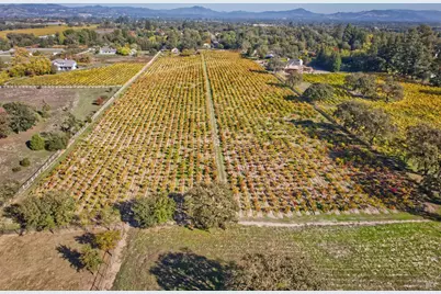 1623 Willowside Road, Santa Rosa, CA 95401 - Photo 45