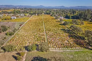 1623 Willowside Rd, Santa Rosa, CA 95401 - Photo 45