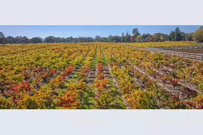 1623 Willowside Road, Santa Rosa, CA 95401 - Photo 43