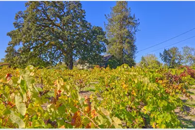 1623 Willowside Road, Santa Rosa, CA 95401 - Photo 7