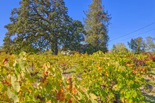 1623 Willowside Rd, Santa Rosa, CA 95401 - Photo 7