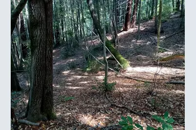 19800 Appaloosa Way, Philo, CA 95466 - Photo 7