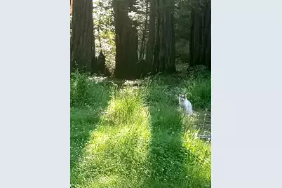 19800 Appaloosa Way, Philo, CA 95466 - Photo 5