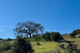 615 Oak Manor Dr, Fairfax, CA 94930 - Photo 81