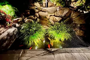 215 Bretano Way, Greenbrae, CA 94904 - Photo 31