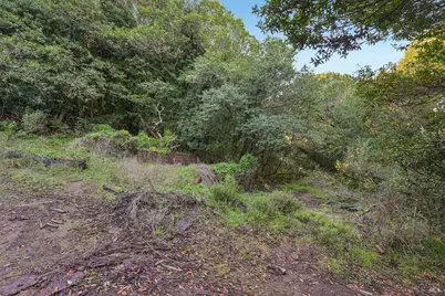 95 Highland Way, Inverness, CA 94937 - Photo 11