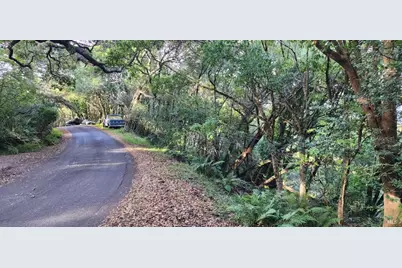 95 Highland Way, Inverness, CA 94937 - Photo 21