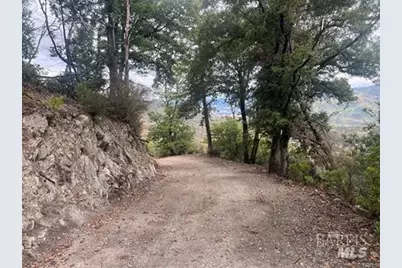 17655 Ford Flat Road, Cobb, CA 95426 - Photo 3