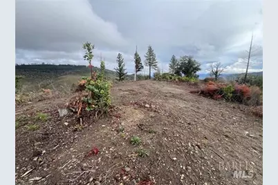 17655 Ford Flat Road, Cobb, CA 95426 - Photo 5