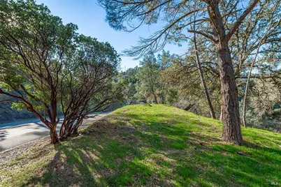 1155 Steele Canyon Road, Napa, CA 94558 - Photo 5
