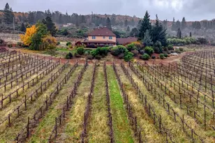 8664 Seigler Springs North Rd, Kelseyville, CA 95451 - Photo 33