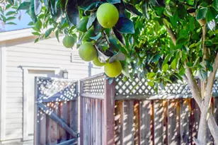 4048 Browns Valley Rd, Napa, CA 94558 - Photo 31