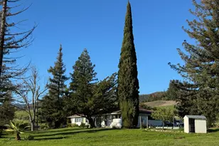 6114 Red Winery Rd, Geyserville, CA 95441 - Photo 7