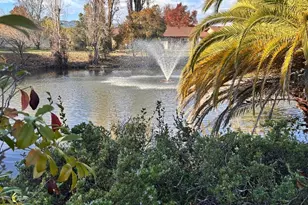 1339 Mission Dr, Sonoma, CA 95476 - Photo 29