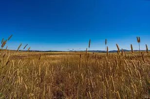 4044 Sonoma Hwy, Napa, CA 94559 - Photo 57