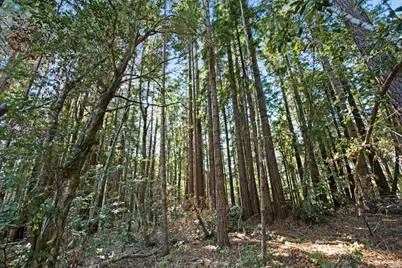 22103 Umland Circle, Jenner, CA 95450 - Photo 13