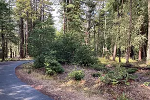 22103 Umland Cir, Jenner, CA 95450 - Photo 1