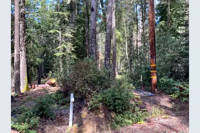 22103 Umland Circle, Jenner, CA 95450 - Photo 5