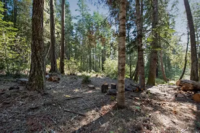 22103 Umland Circle, Jenner, CA 95450 - Photo 7