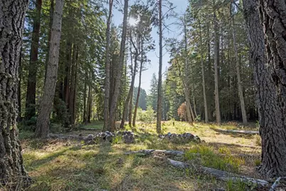 22103 Umland Circle, Jenner, CA 95450 - Photo 9