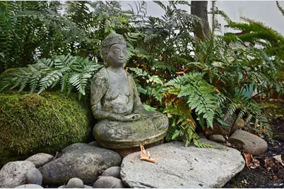 735 Carr Avenue, Santa Rosa, CA 95404 - Photo 45