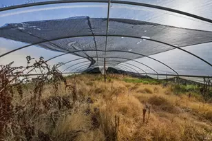 1633 New Long Valley Rd, Clearlake Oaks, CA 95423 - Photo 31