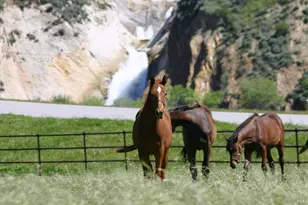 3800 Piru Canyon Rd, Piru, CA 93040 - Photo 9