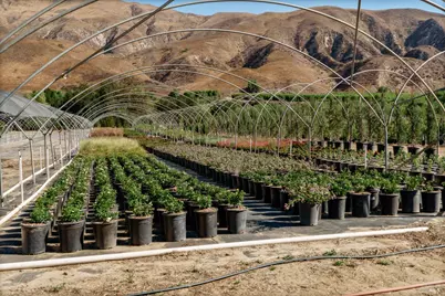 3800 Piru Canyon Road, Piru, CA 93040 - Photo 19