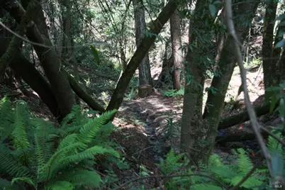 10966 Barnett Valley Road, Sebastopol, CA 95472 - Photo 13