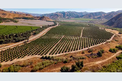 3800 Piru Canyon Road, Piru, CA 93040 - Photo 47