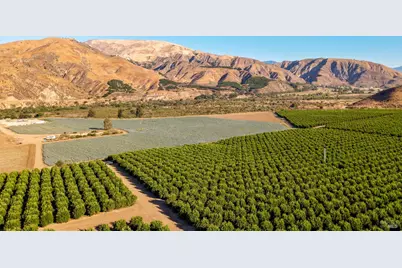 3800 Piru Canyon Road, Piru, CA 93040 - Photo 35