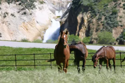 3800 Piru Canyon Road, Piru, CA 93040 - Photo 23