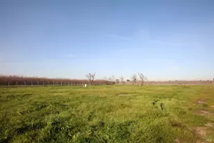 7345 Porter Rd, Dixon, CA 95620 - Photo 5