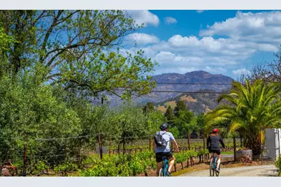 1231 Stevenson Street, Calistoga, CA 94515 - Photo 3