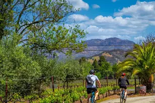 1231 Stevenson St, Calistoga, CA 94515 - Photo 9