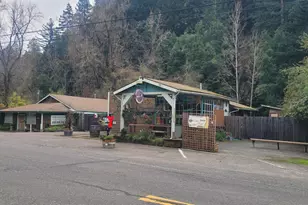 12060 Hwy 116 Hwy, Guerneville, CA 95446 - Photo 1